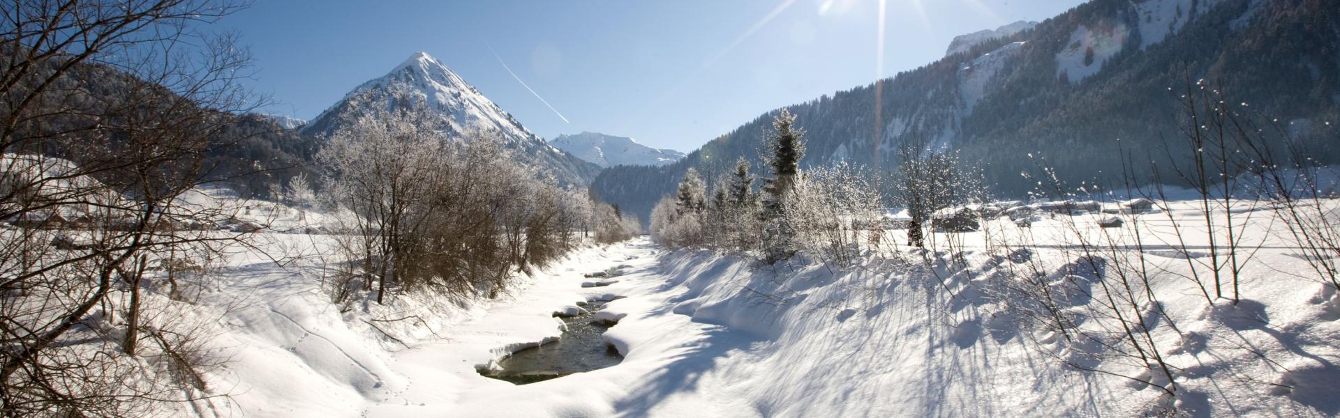Winterlandschaft Bergenzerwald